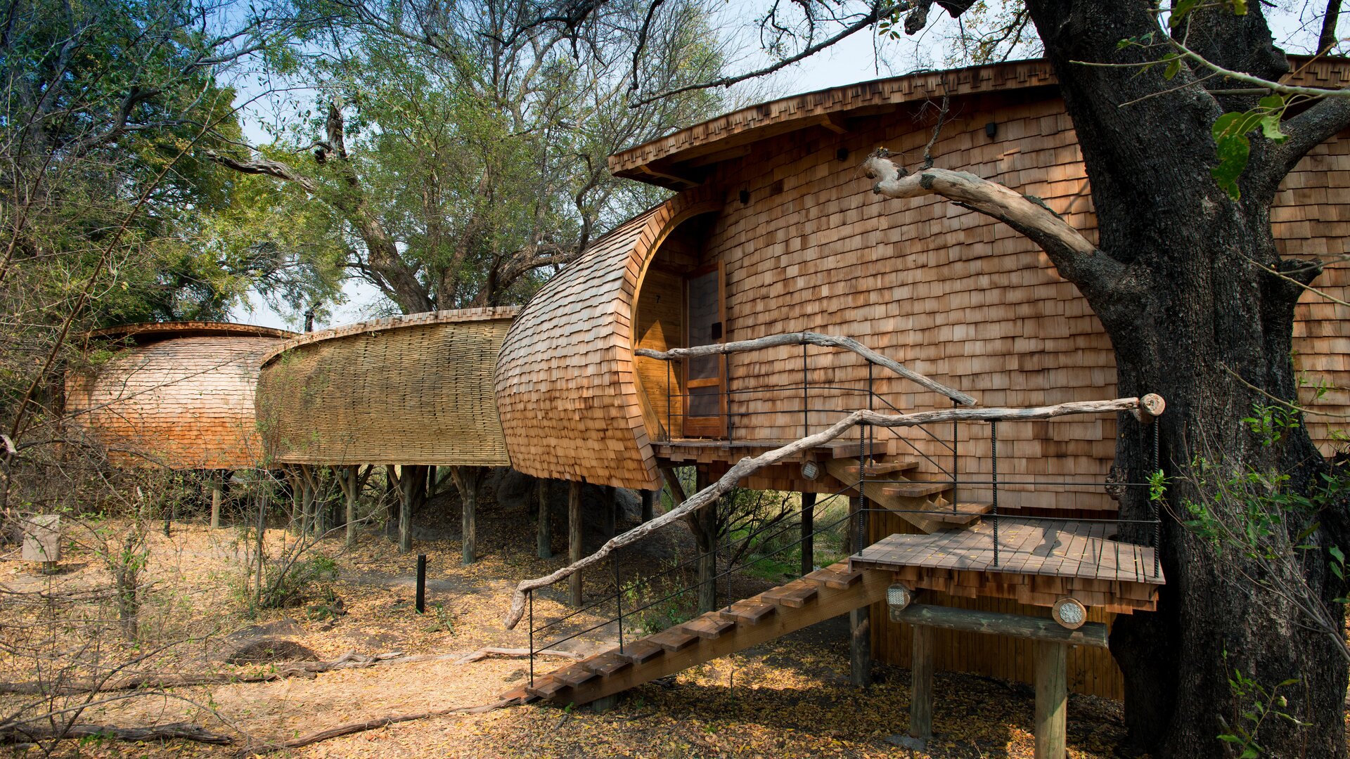 andbeyond-sandibe-okavango-safari-lodge — gallery-3