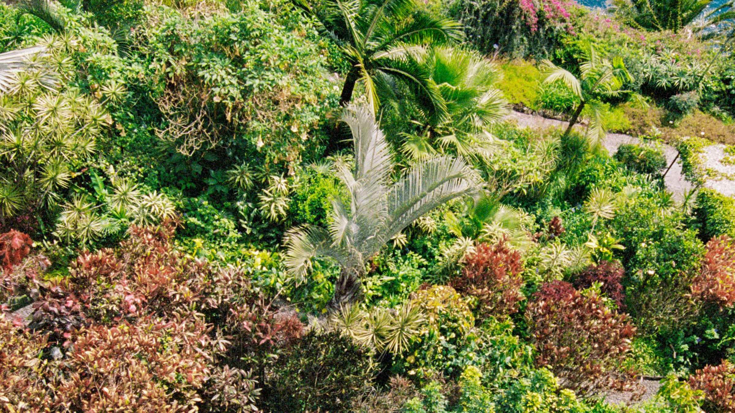 belmond-reids-palace-madeira — gallery-5
