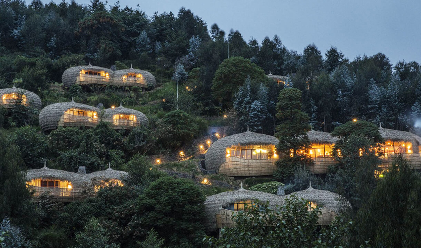 bisate-lodge-wilderness-safaris — gallery-1