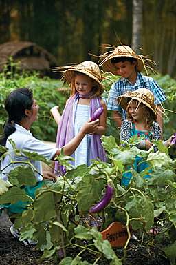 four-seasons-bali-sayan — gallery-1