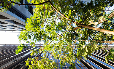 Four Seasons Hotel Dubai International Financial Centre