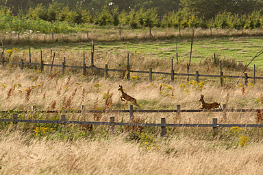 Four Seasons Hotel Hampshire