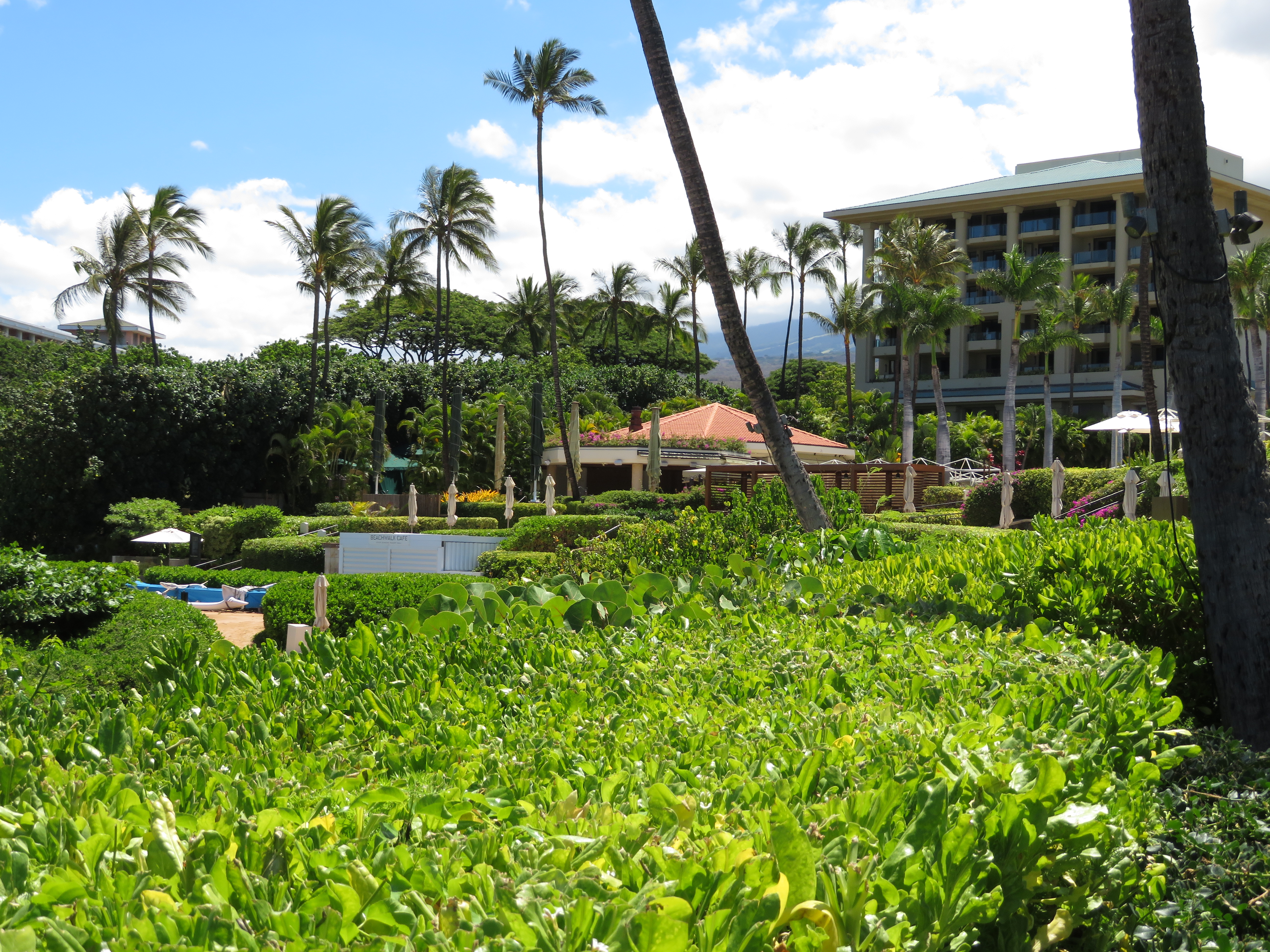 four-seasons-maui-wailea — gallery-3