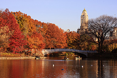 four-seasons-new-york-downtown — gallery-2