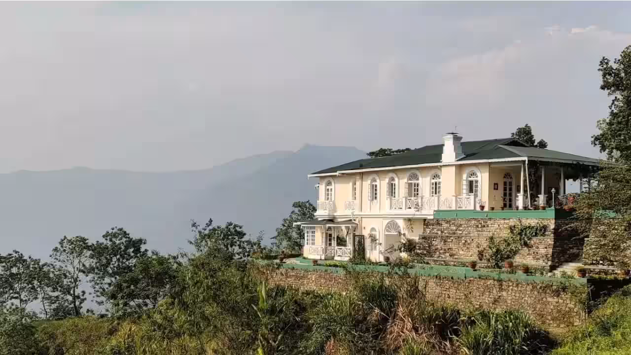 Glenburn Tea Estate Darjeeling — photo 3