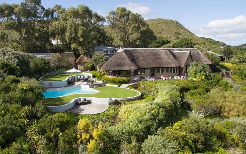 Grootbos Private Nature Reserve - Forest Lodge