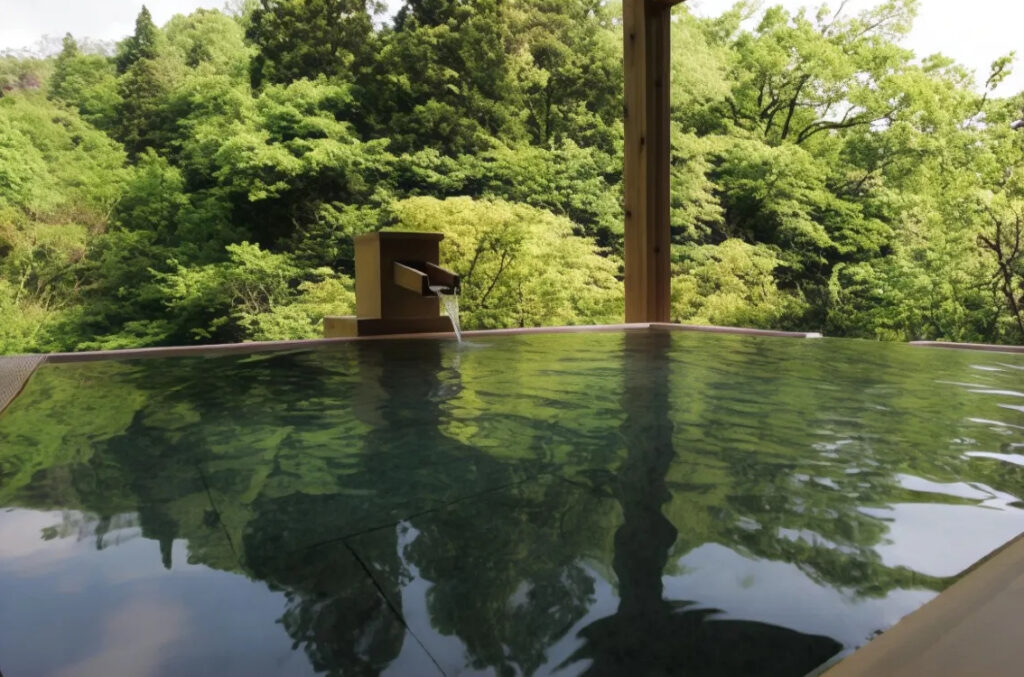 Kayotei — photo 3