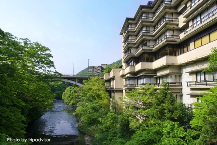Kayotei — photo 4