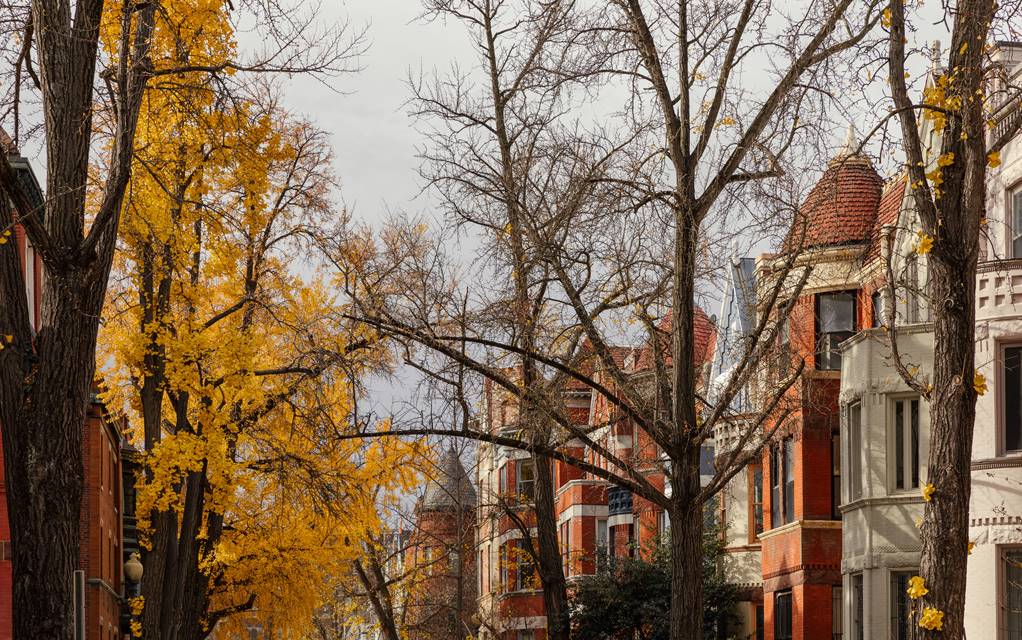 lyle-washington-dc — gallery-4