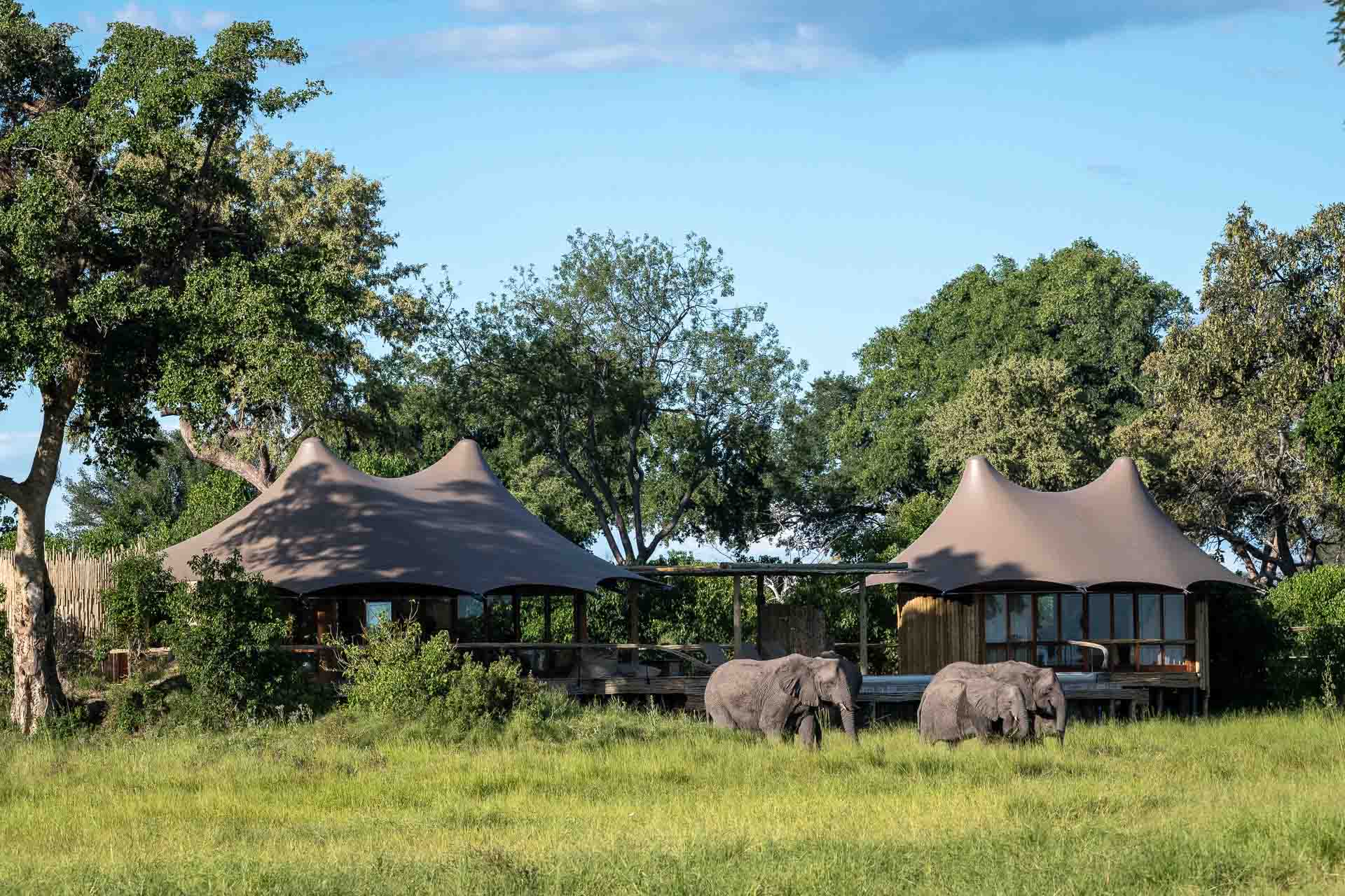 mombo-camp-wilderness-safaris — gallery-3