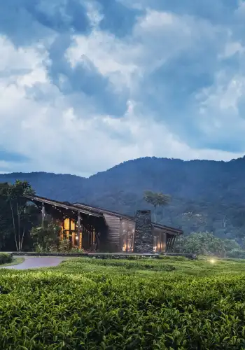 One&Only Nyungwe House