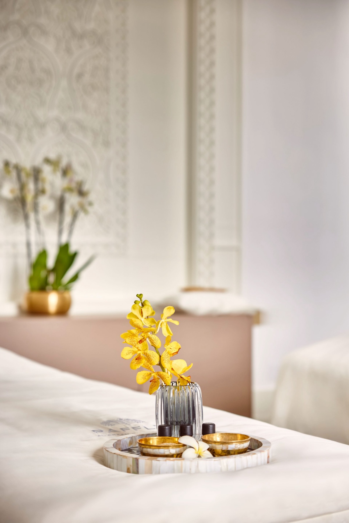 raffles-al-areen-palace-bahrain — gallery-4