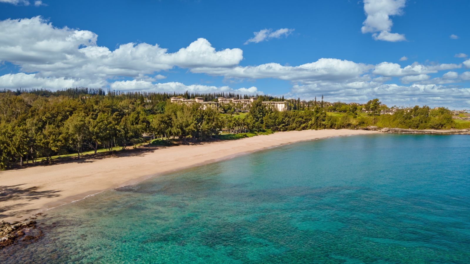 The Ritz-Carlton Maui, Kapalua