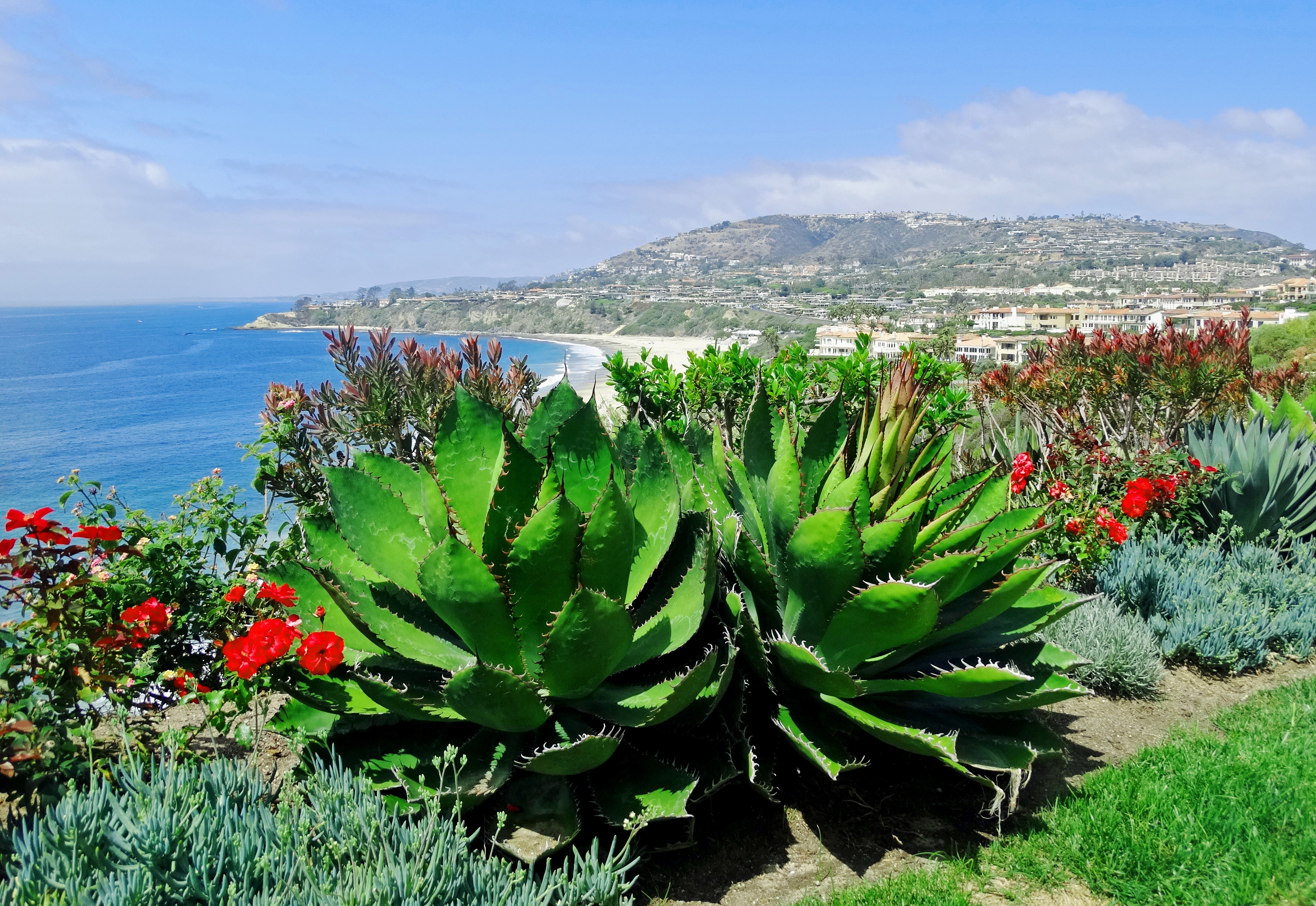 ritz-carlton-laguna-niguel — gallery-2