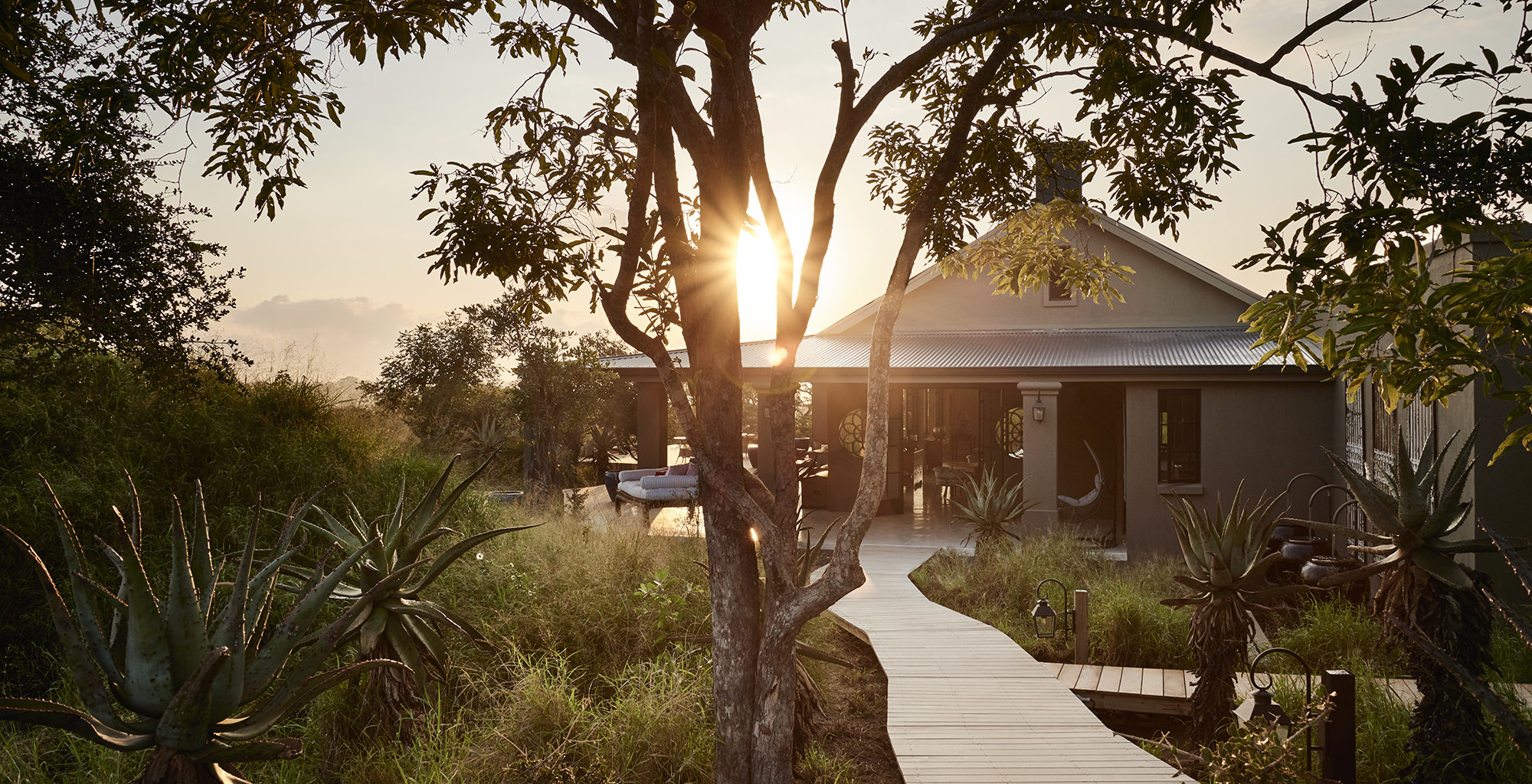 Royal Malewane Thornybush Game Reserve