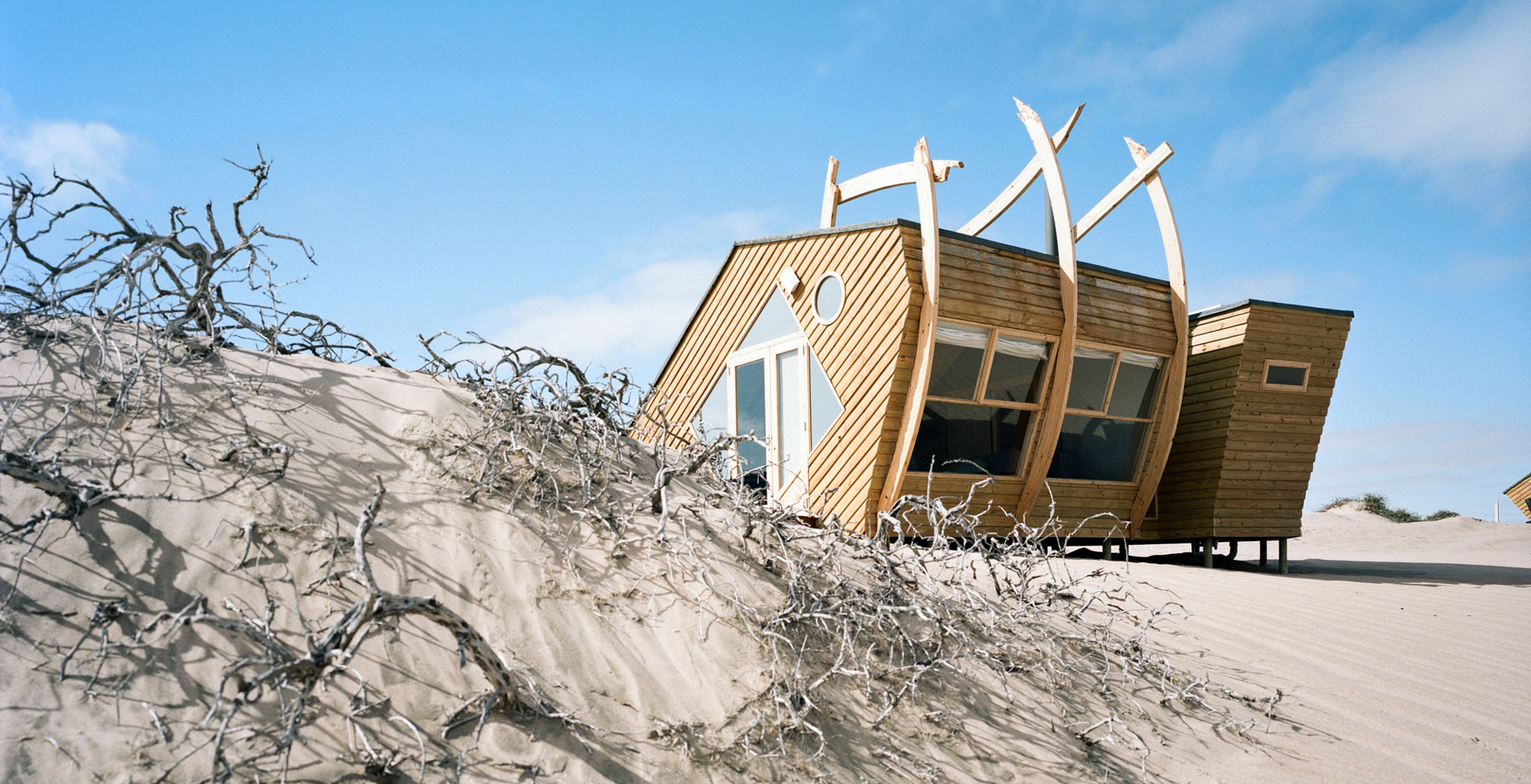 Shipwreck Lodge — photo 4