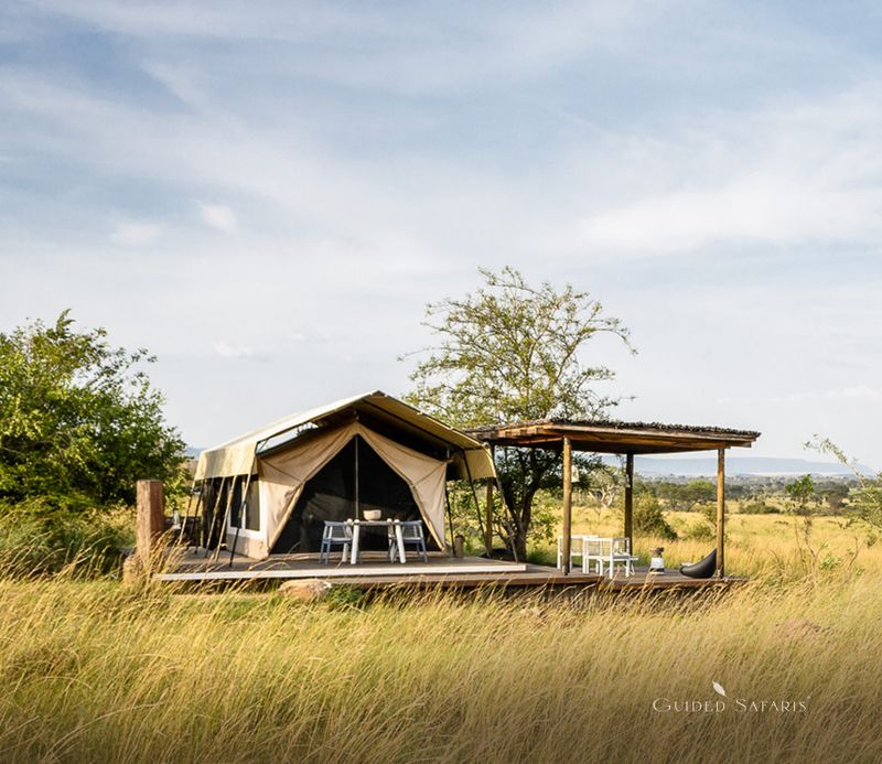 singita-mara-river-tented-camp — gallery-2