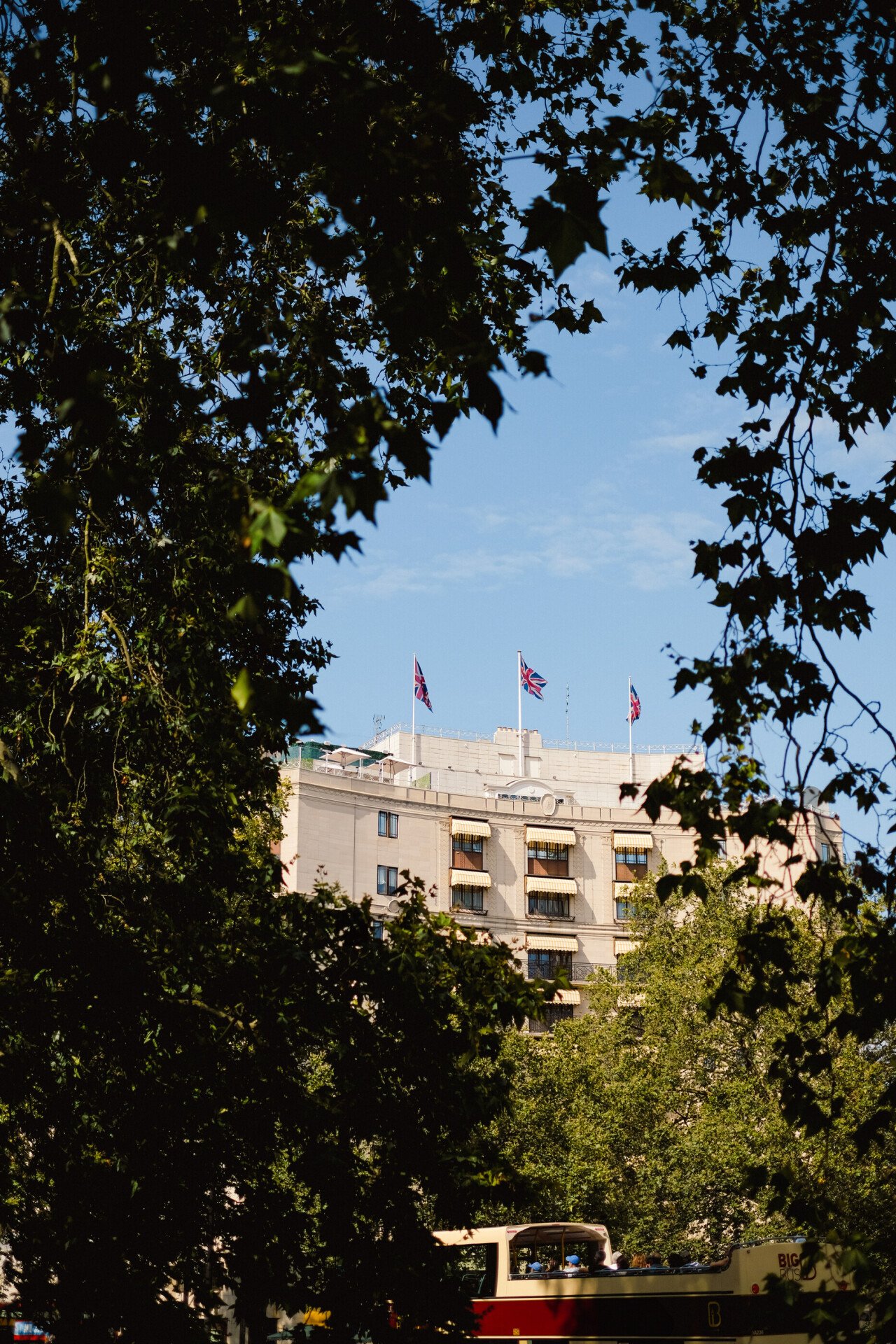 The Dorchester — photo 4