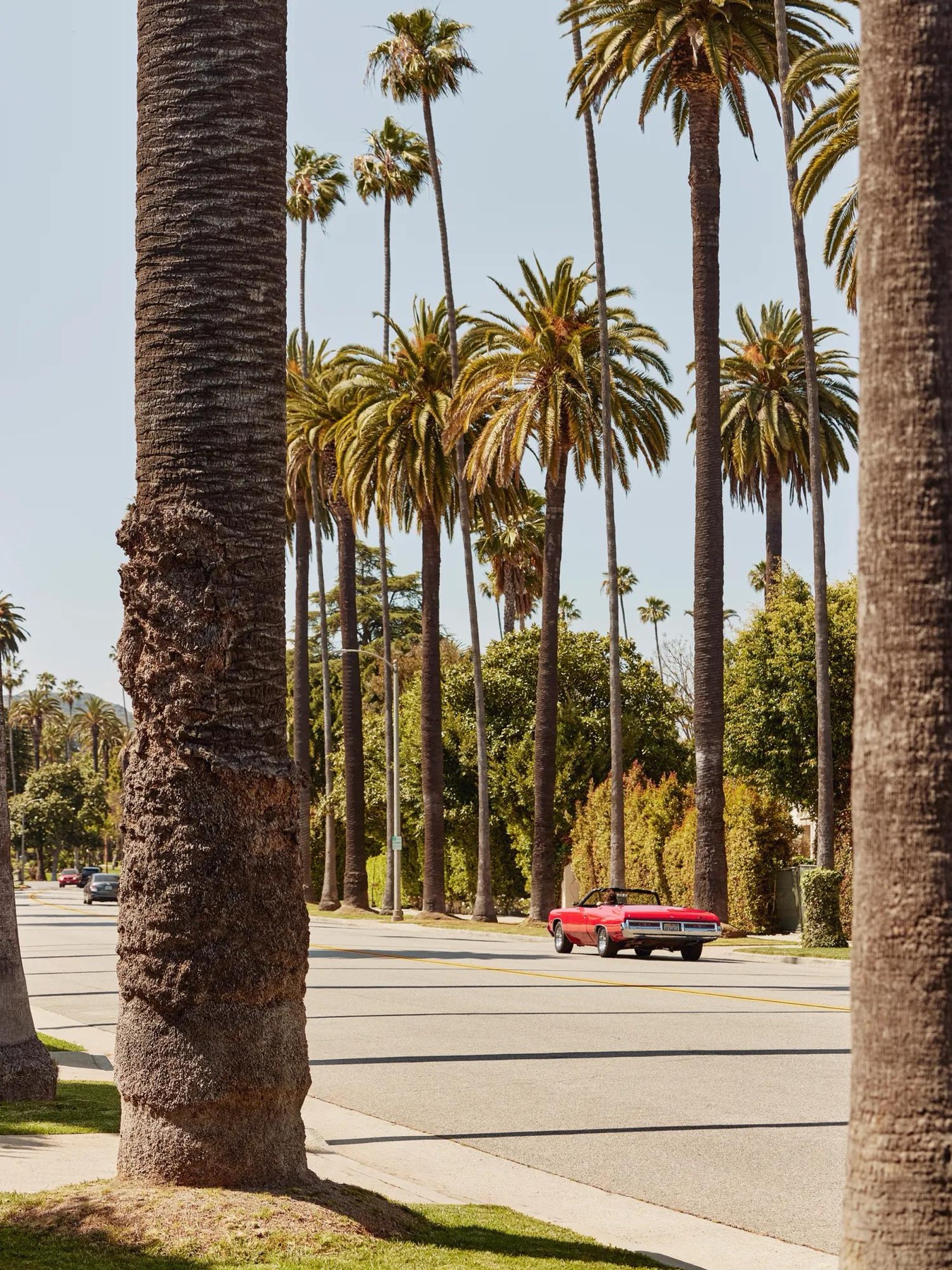 the-maybourne-beverly-hills — gallery-4