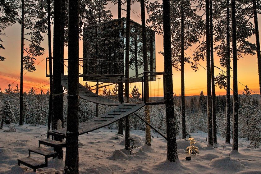 treehotel-sweden — gallery-4