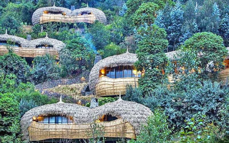 Wilderness Bisate Lodge — photo 3
