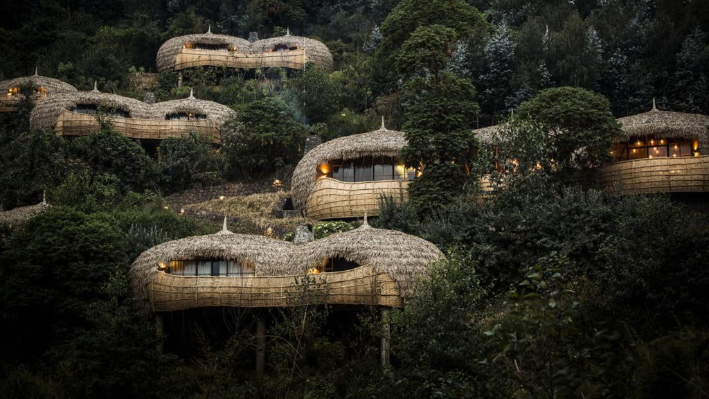 wilderness-bisate-rwanda — gallery-1