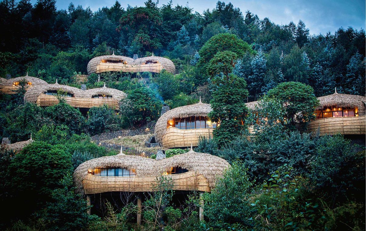 Wilderness Bisate