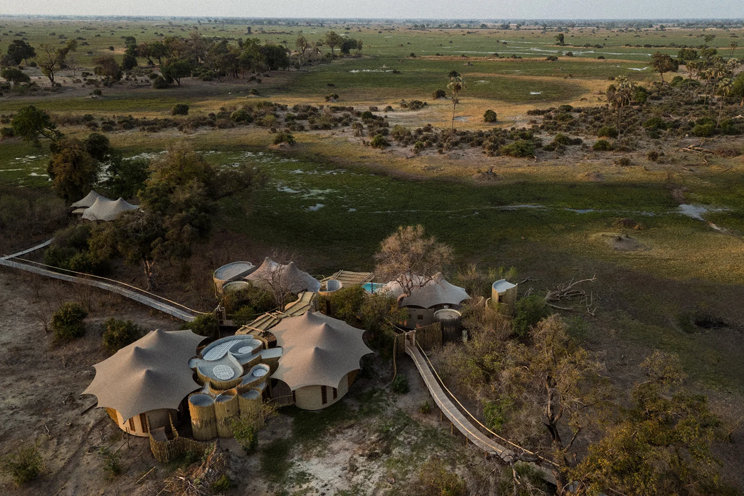 wilderness-mombo-botswana — gallery-4