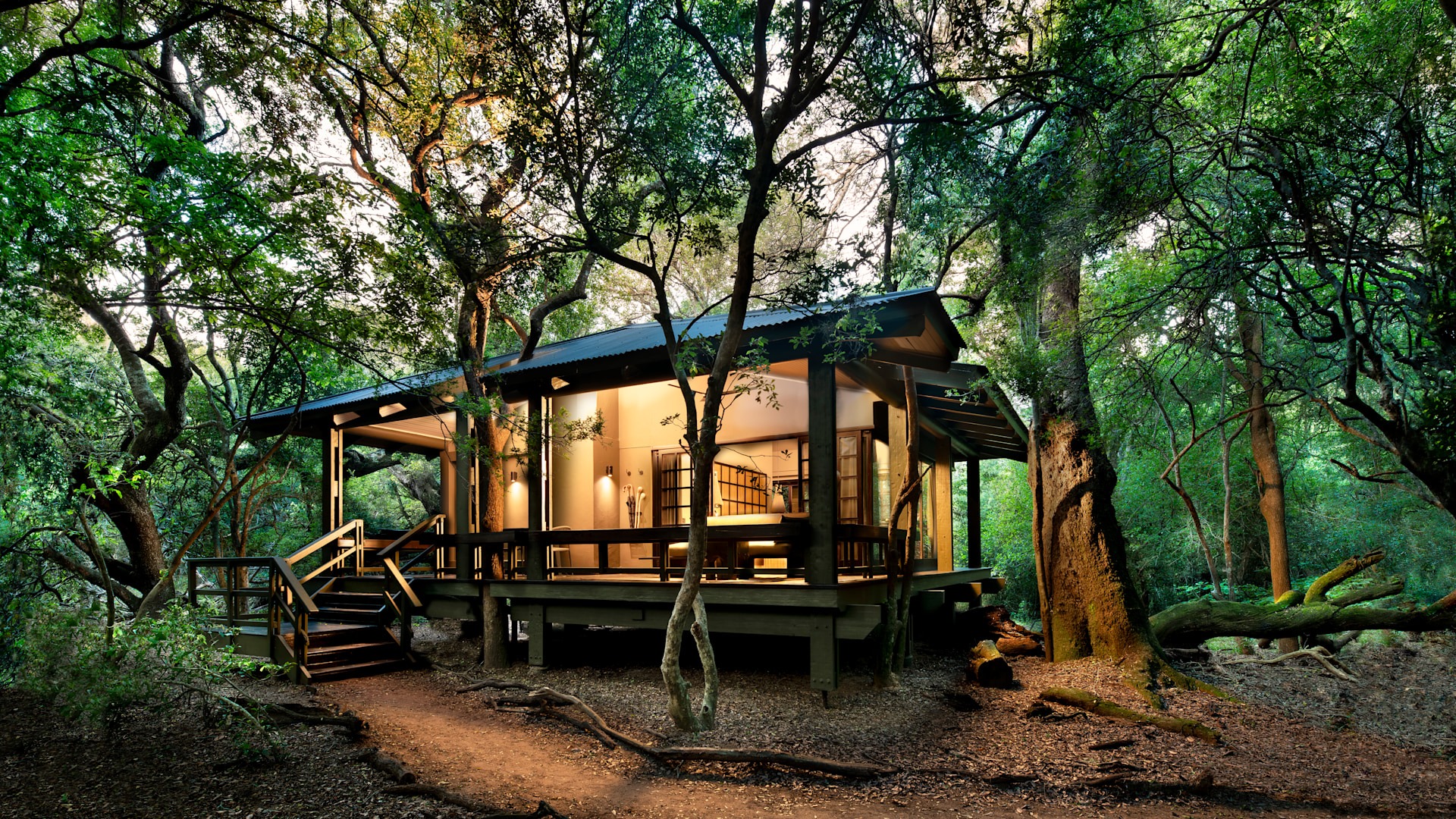 andbeyond-phinda-forest-lodge — gallery-1