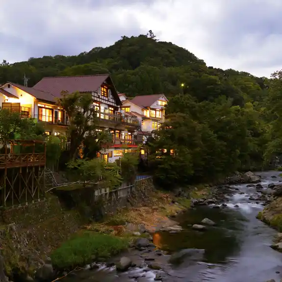 Arcana Izu Forest Onsen Sanctuary — photo 2
