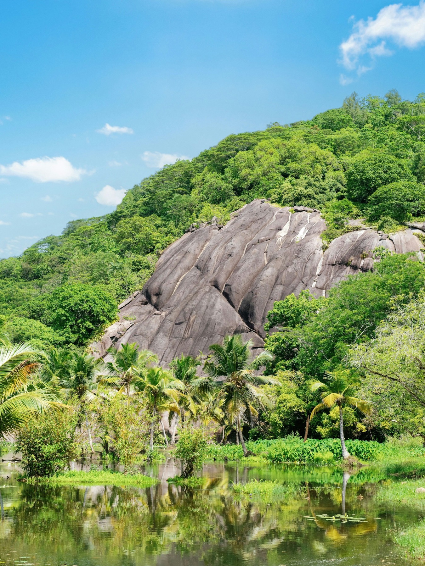 Cheval Blanc Seychelles — photo 3