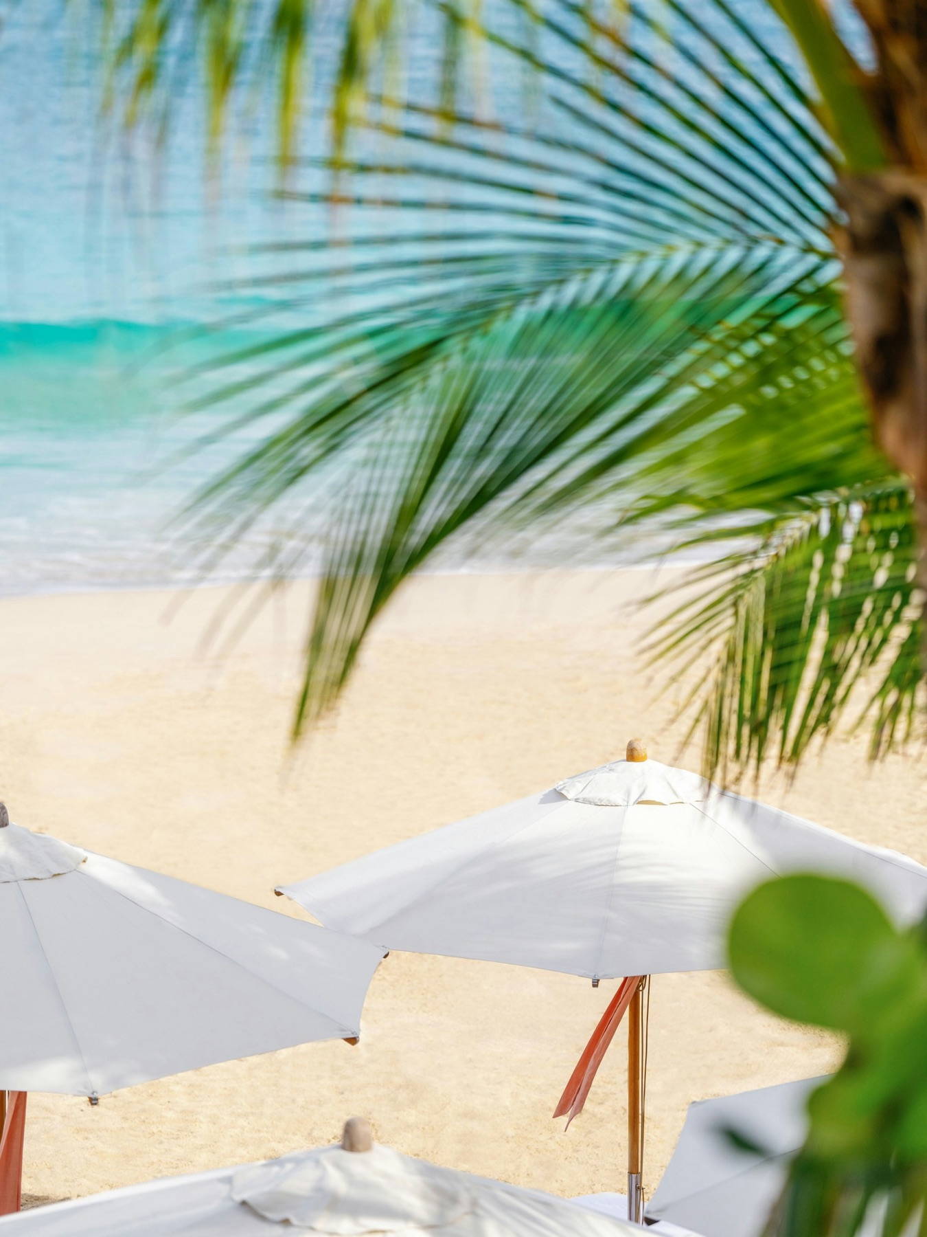 Cheval Blanc St-Barth Isle de France — photo 3