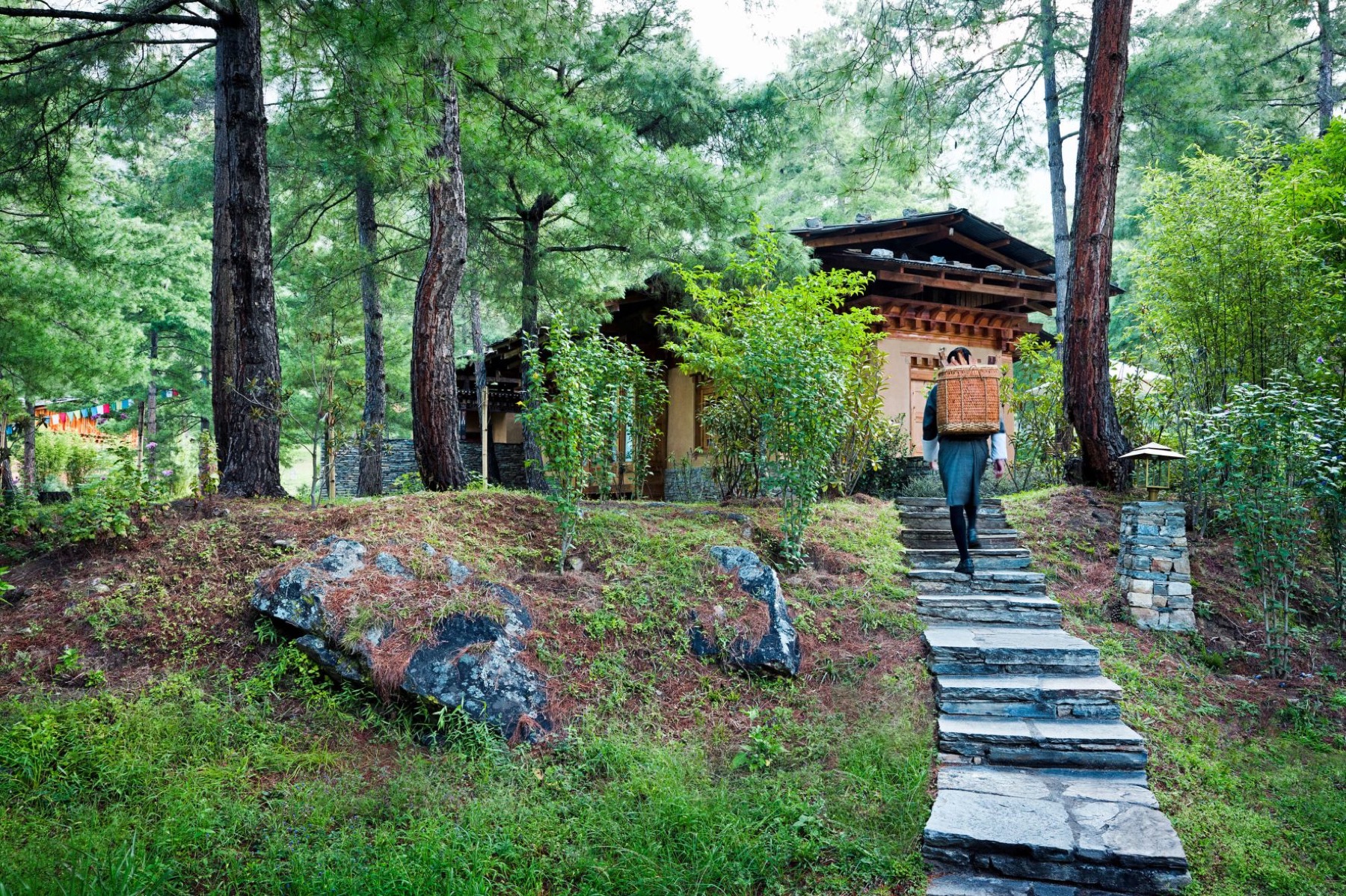como-uma-paro — gallery-4