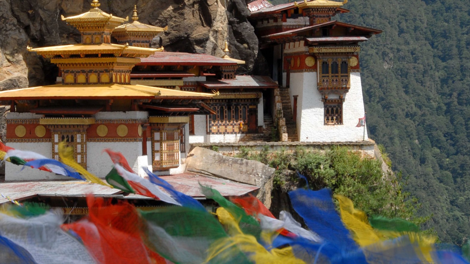 como-uma-punakha — gallery-3