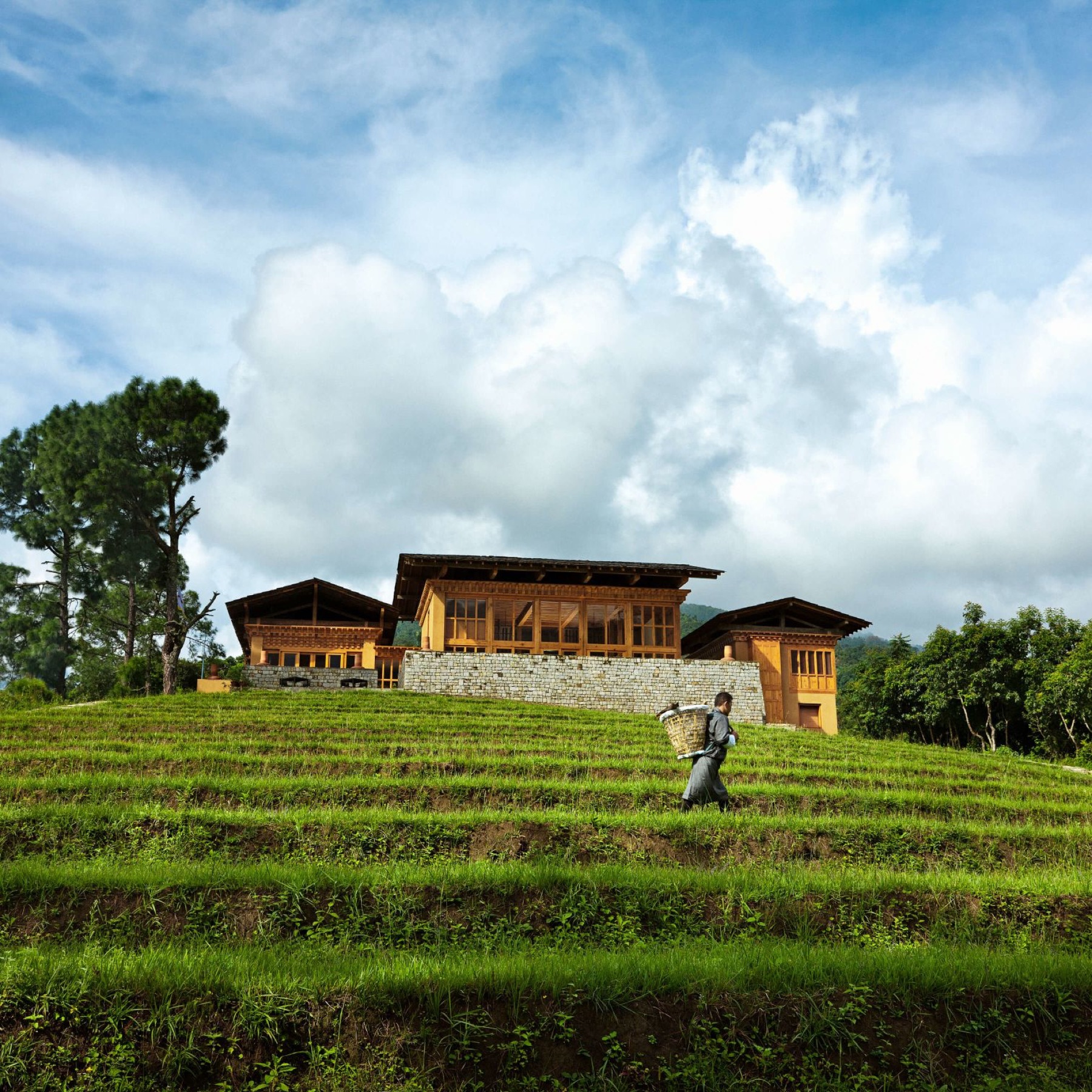 como-uma-punakha — gallery-4