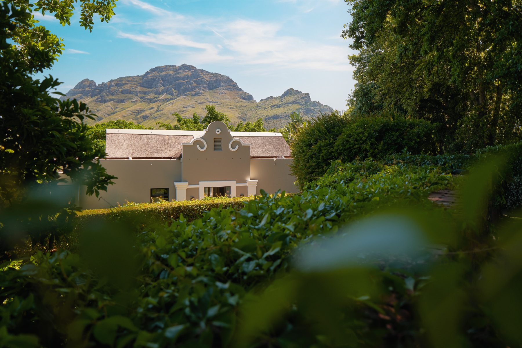 delaire-graff-estate-south-africa — gallery-4