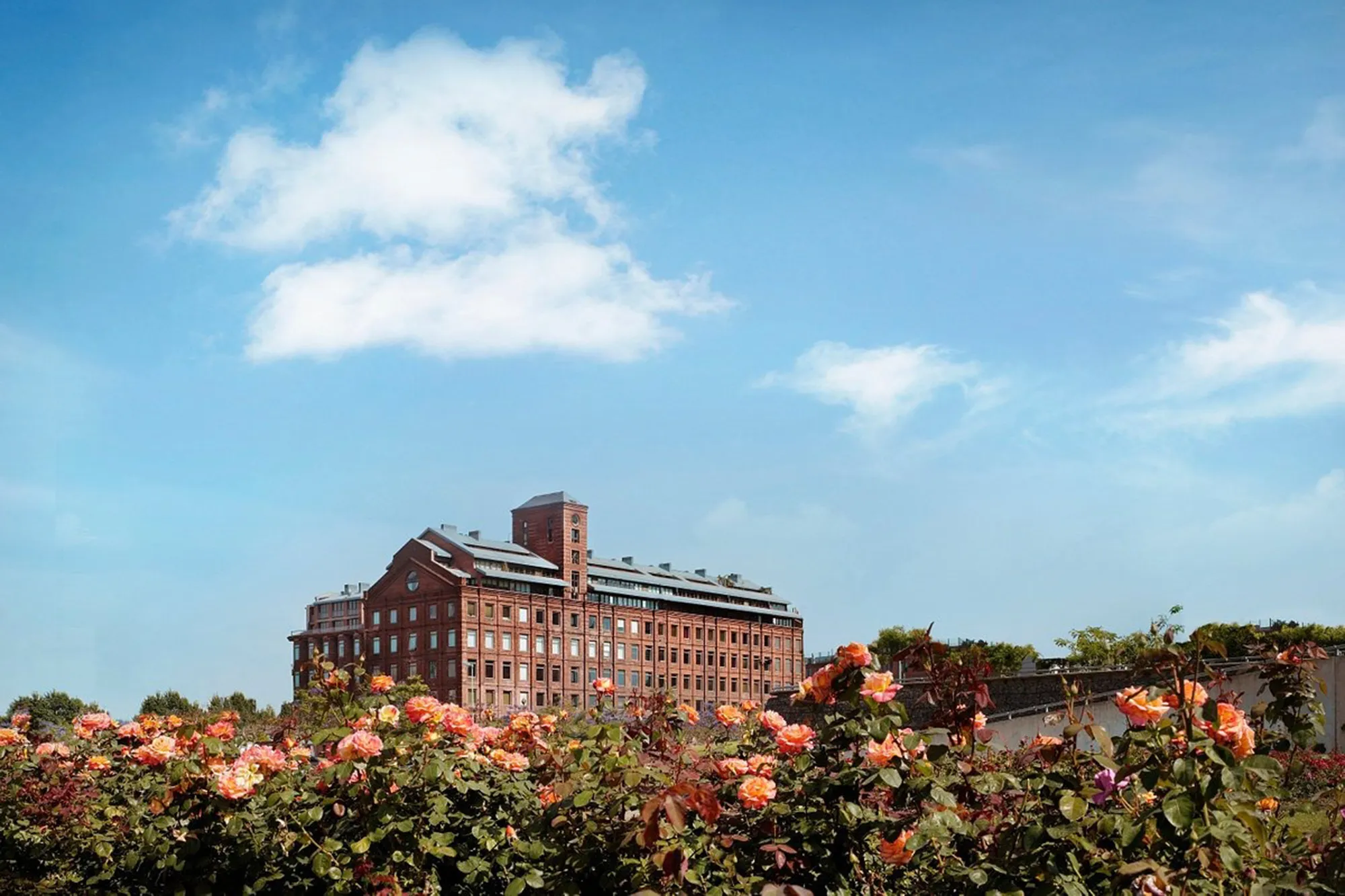 Faena Hotel Buenos Aires — photo 4