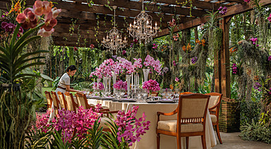 four-seasons-chiang-mai — gallery-2