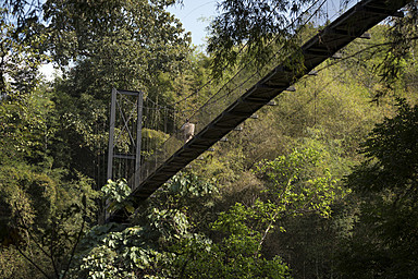 four-seasons-tented-camp-golden-triangle — gallery-2