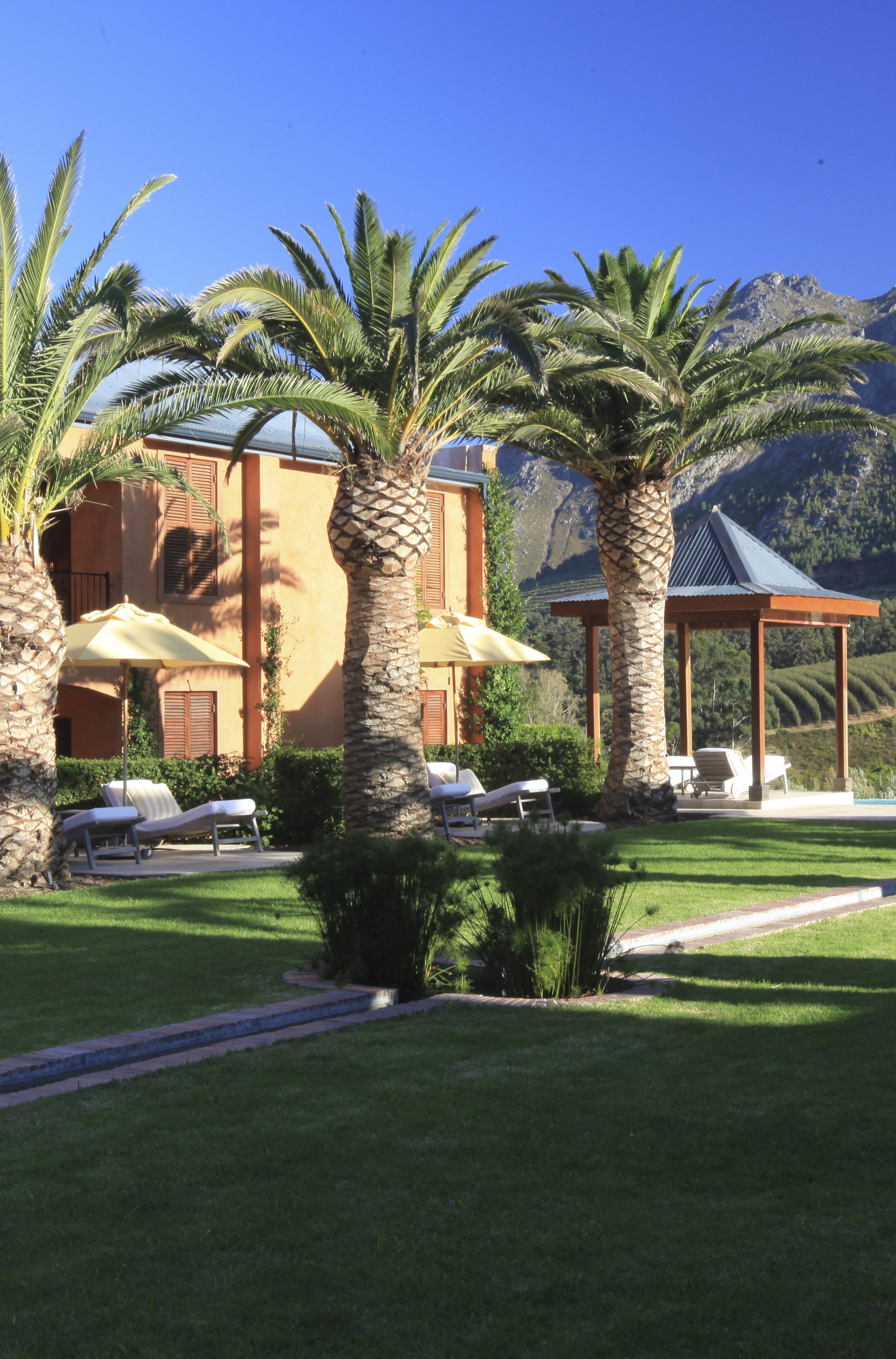La Residence, Franschhoek — photo 4