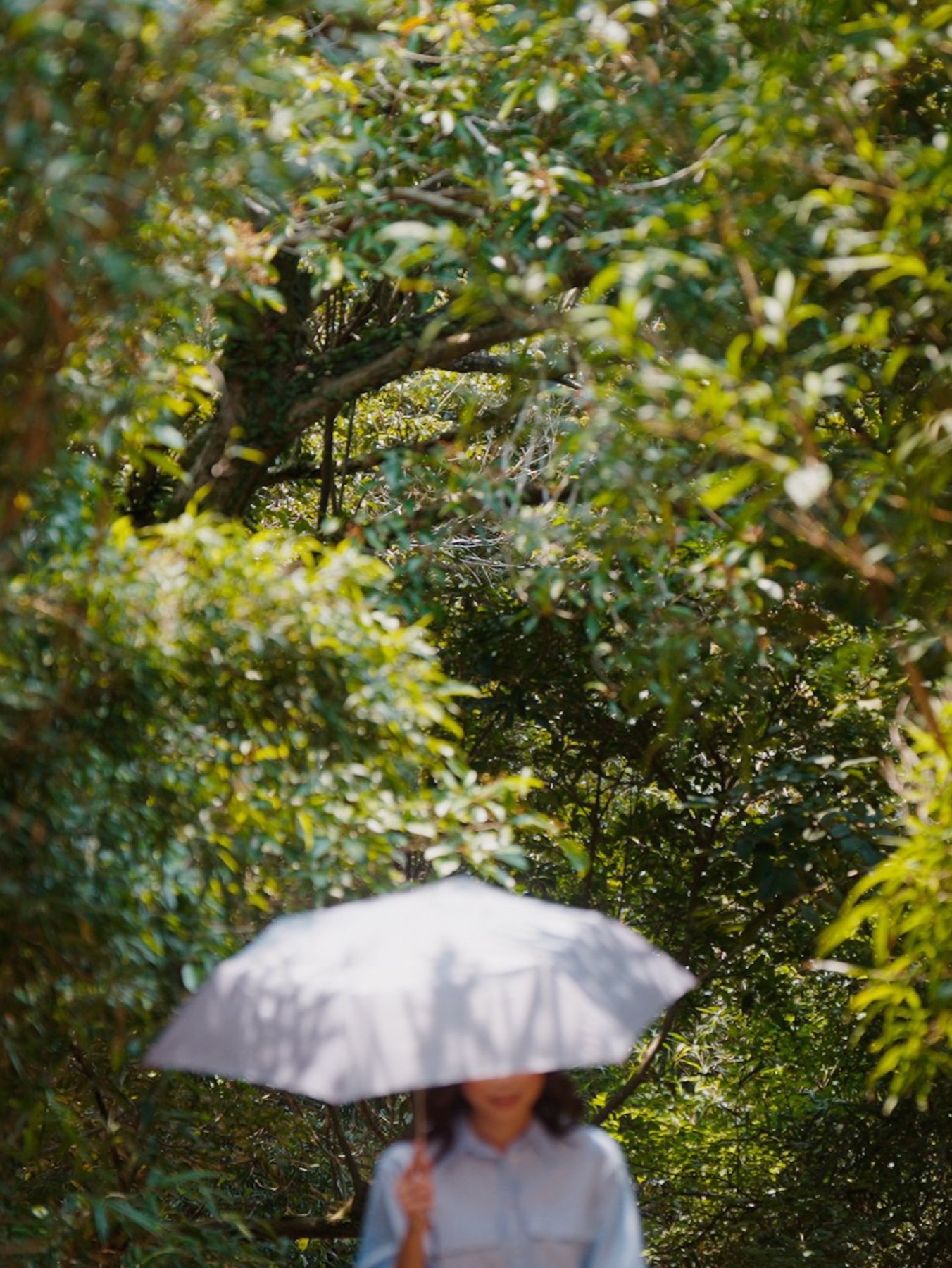 mandarin-oriental-hong-kong — gallery-1