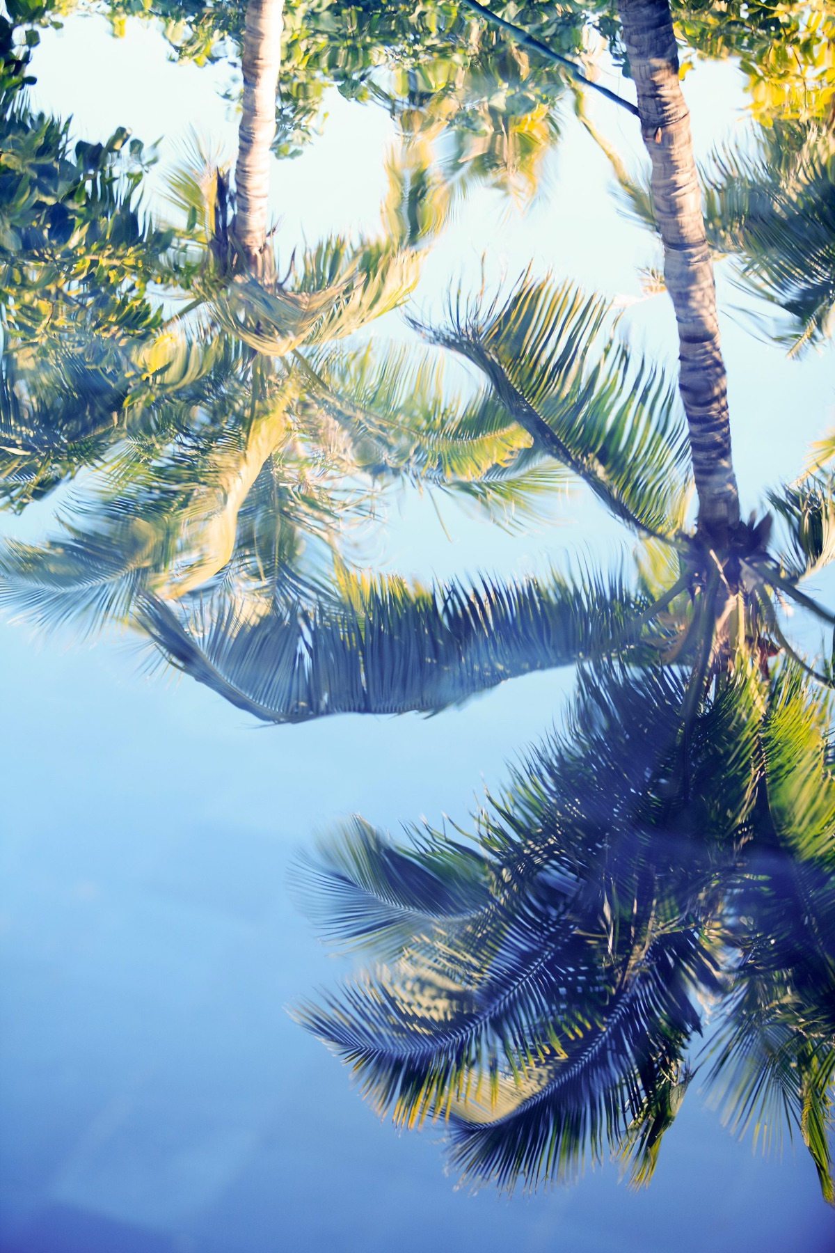 raffles-hainan-clear-water-bay — gallery-5