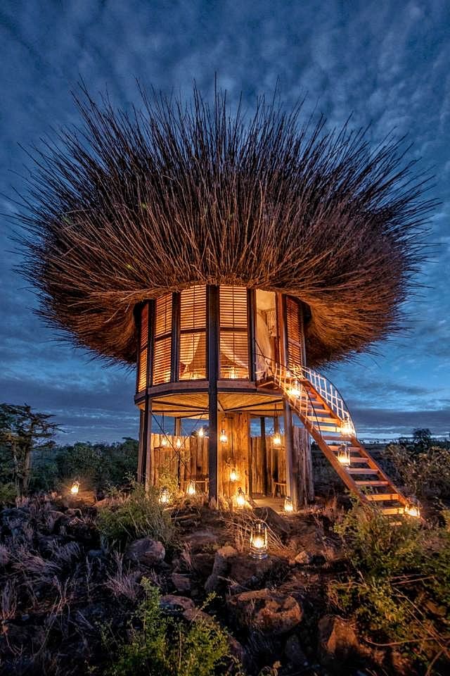 Segera Retreat — photo 4
