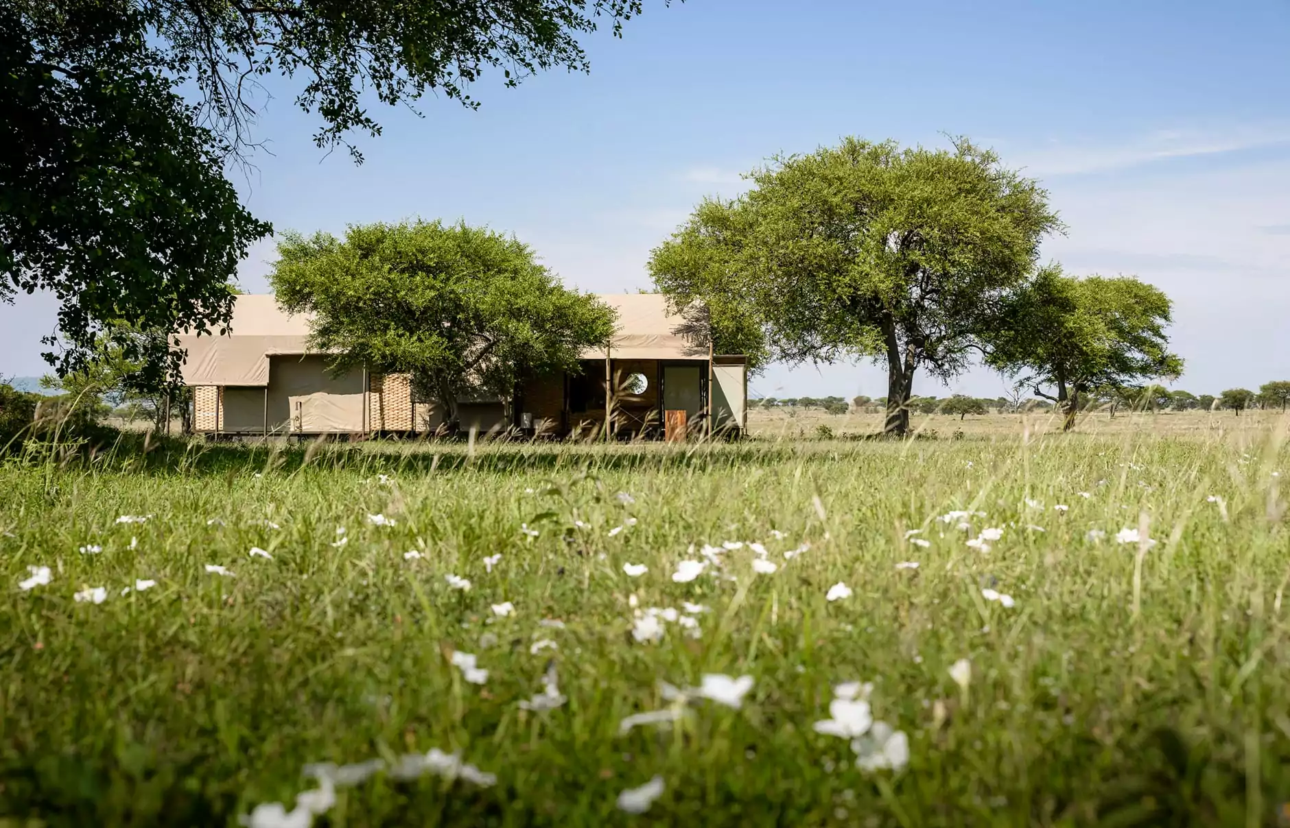 Singita Sabora Tented Camp — photo 2