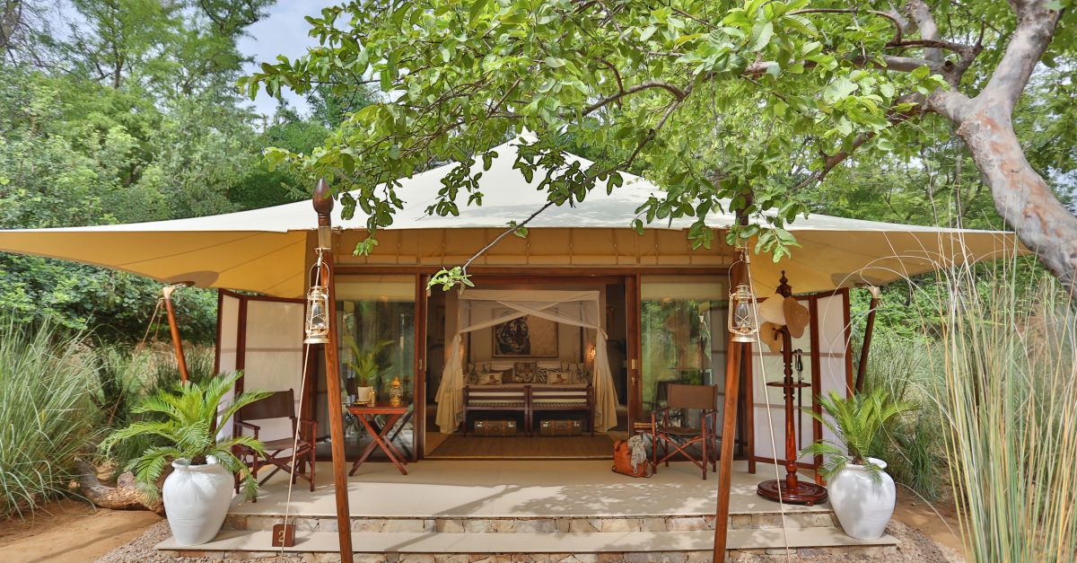 SUJÁN Sher Bagh Tiger Safari Ranthambore — photo 2
