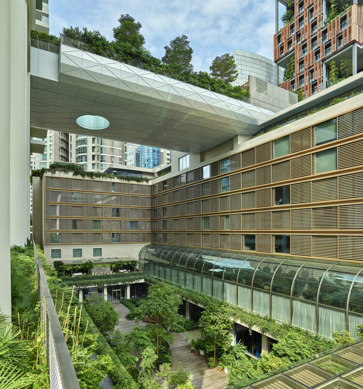 The Singapore EDITION — photo 2