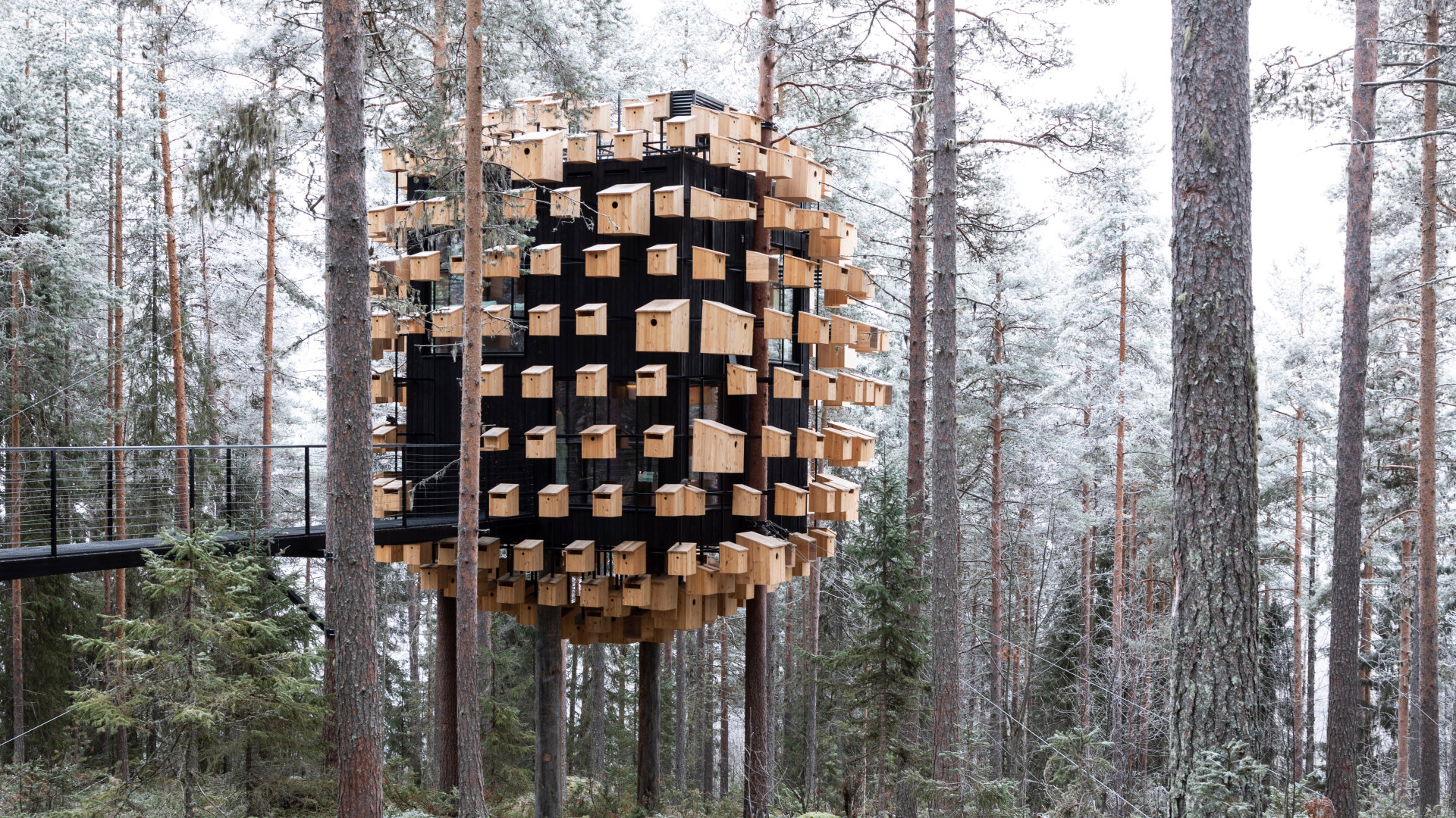 treehotel-sweden — gallery-3
