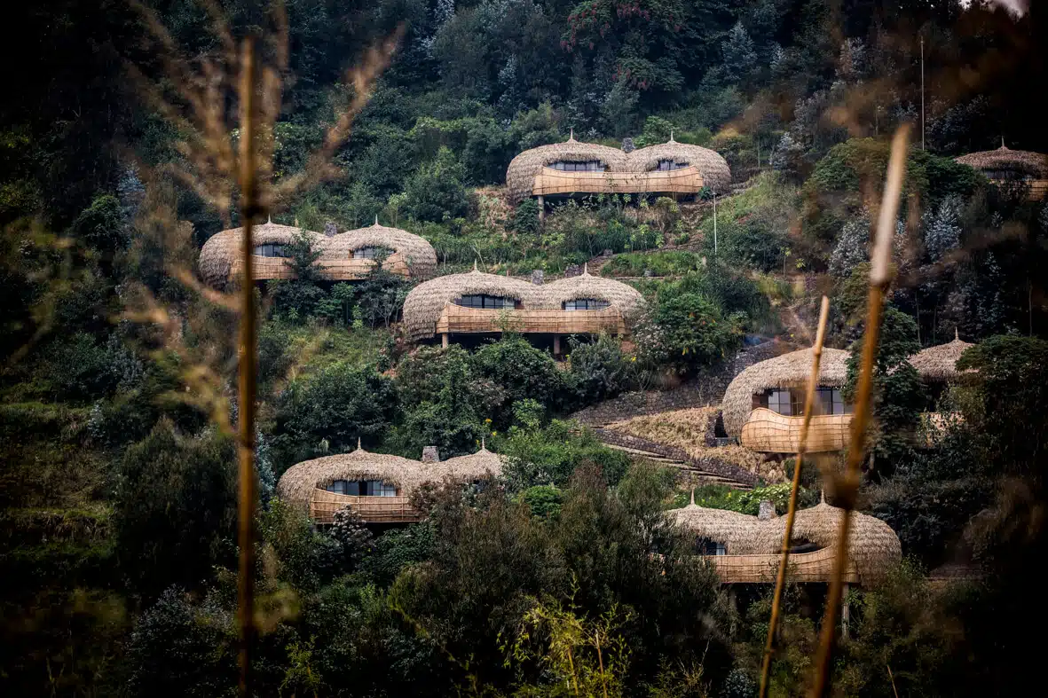 wilderness-bisate-rwanda — gallery-3