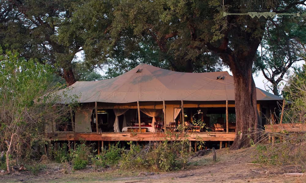 Zarafa Camp Selinda Reserve — photo 1